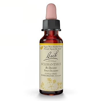 洋書 The Bach Flower Remedies New Bach Flower Therapies | Book by Dietmar Krämer